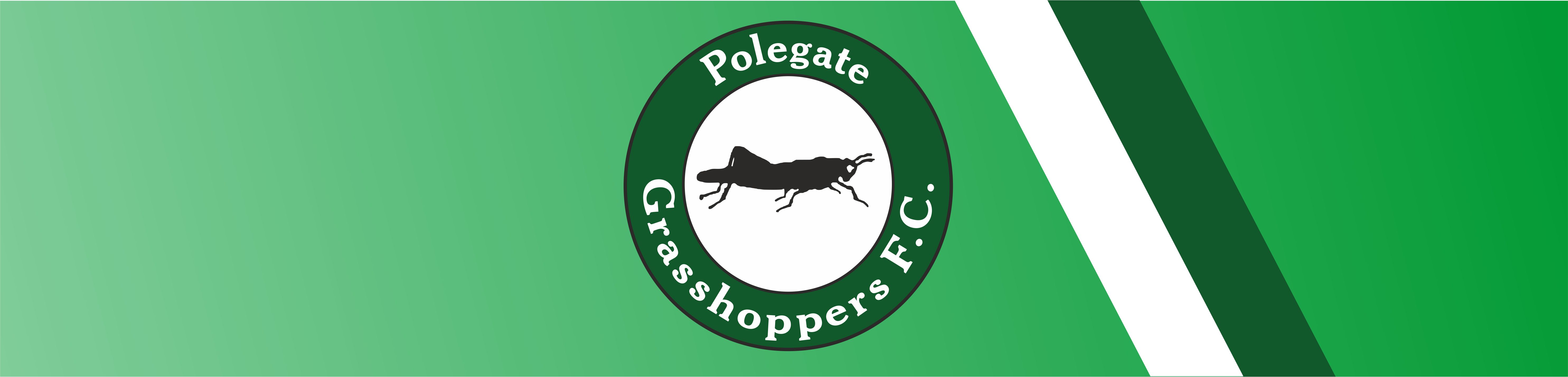 pgfc, football, grassroots, polegate, grasshoppers, fc